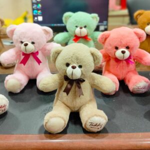 1263 Teddy Bear 30 CM - Assorted 8 Colours - MOQ 6