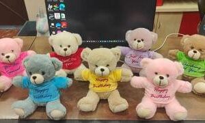 1258 Teddy Bear Captions - 20 CM - MOQ 6 ,