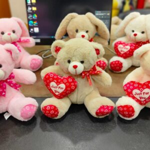 1276 Teddy Bear 28 CM SIDE HEART - Pink, Brown, Cream - MOQ 3